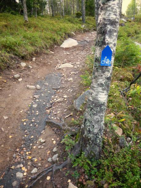 istock Mountain bike track 862707184