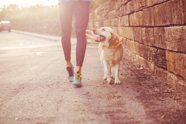istock Jogging with my best friend 862707394