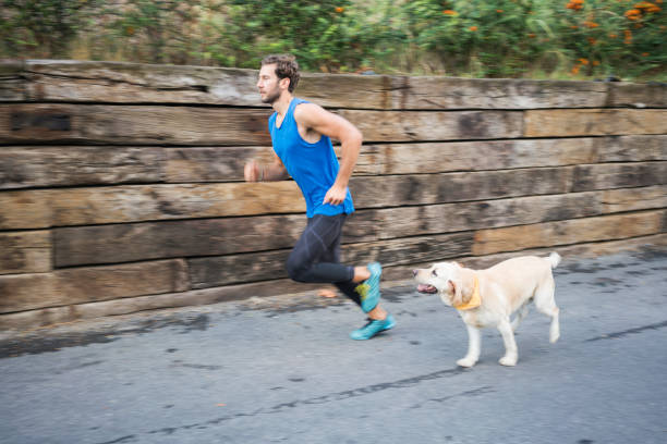 istock Jogging with my best friend 862709760