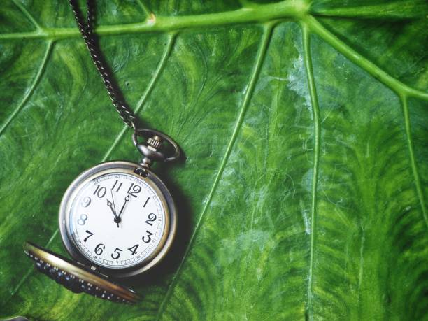 istock Vintage watch pocket 862716970
