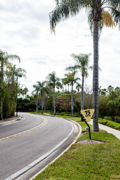 istock Speed Limit Sign on Curving Road Through Tropics 862720750