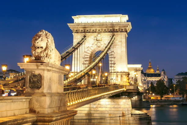 освещенный вид крупным планом на цепной мост шечени и базилику святого стефана в будапеште ночью - chain bridge budapest bridge lion стоковые фото и изображения