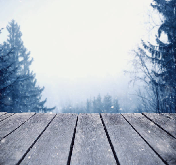 istock Winter view from the home patio 862722234