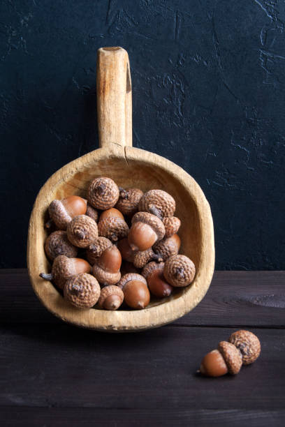 Acorns on wooden brown background. Copy space for text