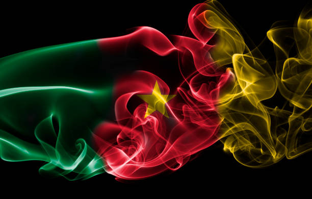 bandera de humo nacional de camerún - bolivian culture bolivia bolivian ethnicity smooth fotografías e imágenes de stock