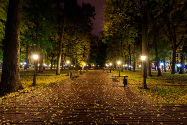 istock Night park in autumn with fallen yellow leaves. 862728408