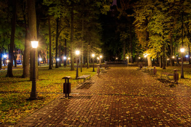 istock Night park in autumn with fallen yellow leaves. 862728426