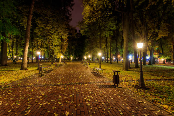 istock Night park in autumn with fallen yellow leaves. 862728464