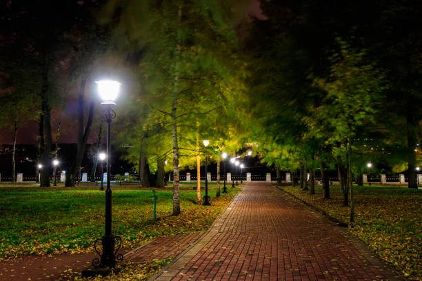 istock Night park in autumn with fallen yellow leaves. 862728522