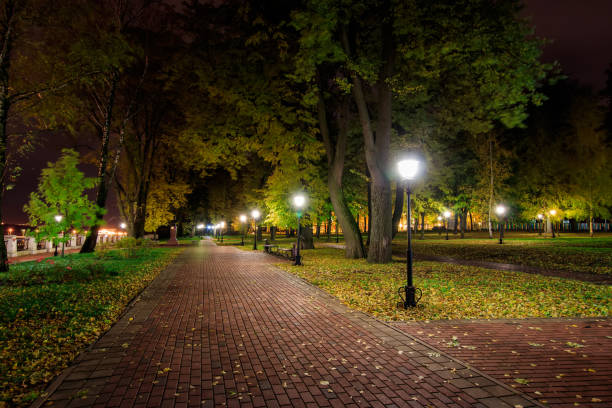 istock Night park in autumn with fallen yellow leaves. 862728530