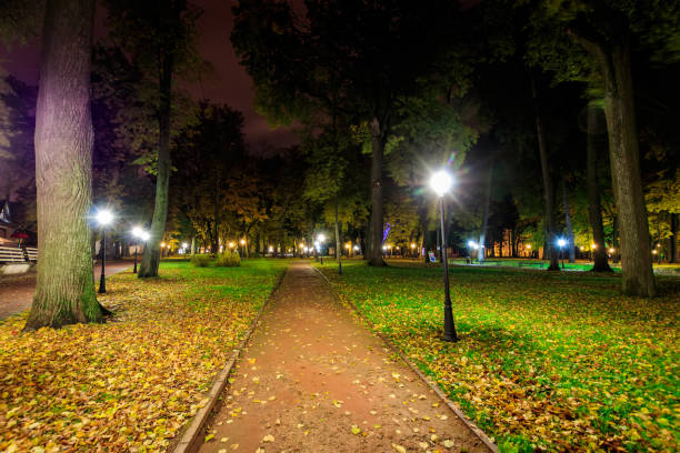 istock Night park in autumn with fallen yellow leaves. 862728570
