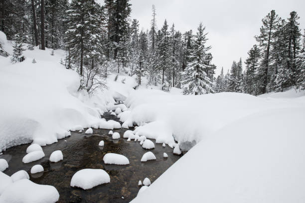 istock Winter nature in Siberia. 862732332
