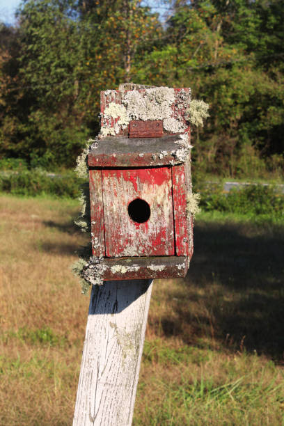 istock Front view of an old birdhouse with peeling paint and moss 862736514