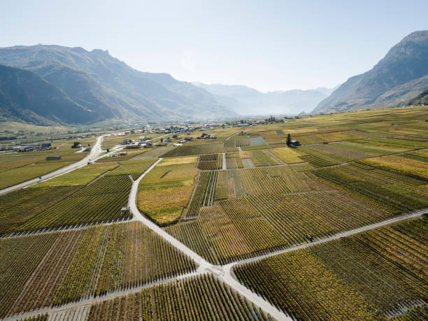 Grand tour of wine road in Switzerland stock photo