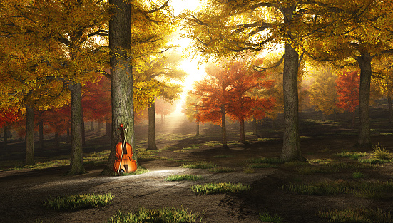 Violin leans to tree in autumn forest.