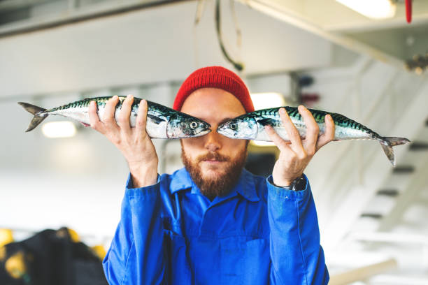 pescatore con pesce fresco sul ponte della barca da pesca - norwegian culture foto e immagini stock