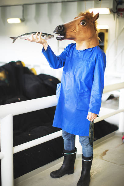 istock Fisherman with fresh fish on the fishing boat deck 862740952
