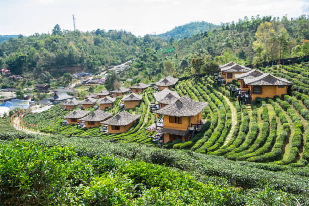 istock Viewpoint resort earth house in tea plantation at lee wine ban rak thai 862744310