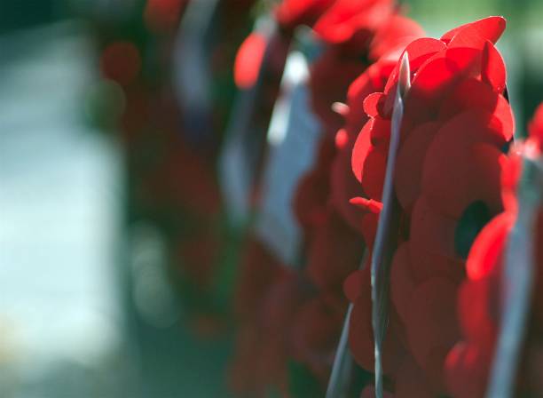 Remembrance Poppy memorial wreath