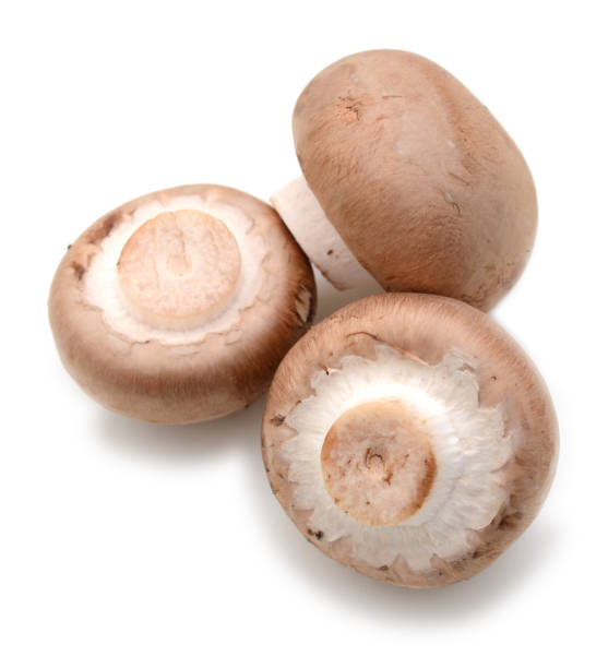 istock Collection champignon isolated on white background. Top view 862751466