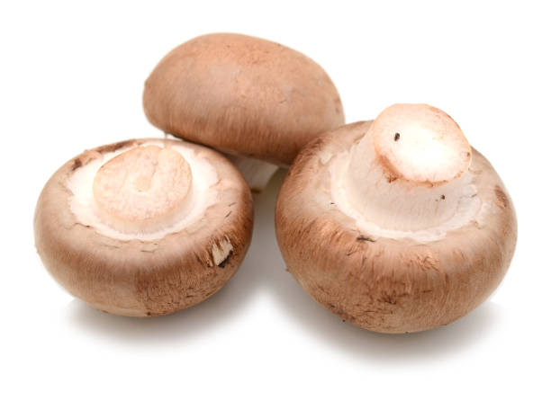 istock bunch of champignon mushrooms 862751474