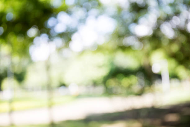 istock Blur green natural and light background 862754154
