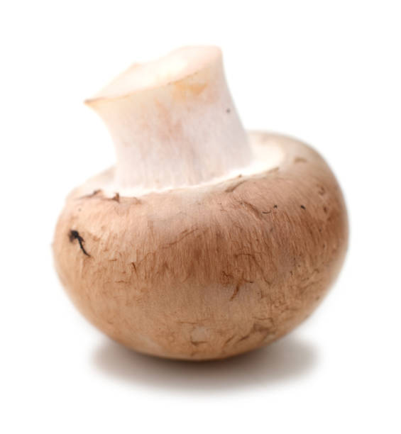 istock champignon mushroom vegetable isolated on a white background 862754692