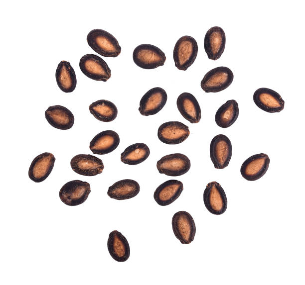 istock watermelon seeds isolated on white background 862759322