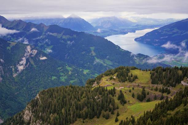 istock Alpine forest, mountain range and mist in Schynige Plattein Switzerland 862762352