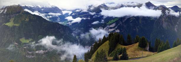 istock Alpine forest, mountain range and mist in Schynige Plattein Switzerland 862765994