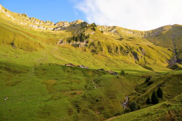 istock The green field with the mountain 862770714
