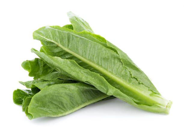 istock fresh cos lettuce isolated on white background 862773710