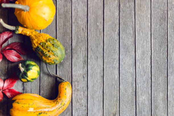 Autumn composition