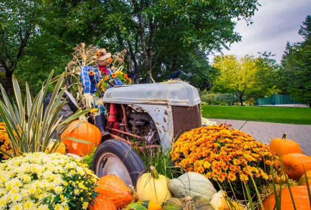 Photo of Halloween display and Scarecrow