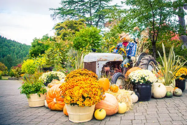 Photo of Halloween display and Scarecrow