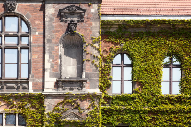 istock Old Green skyscraper building with plants growing on the facade. 862787258