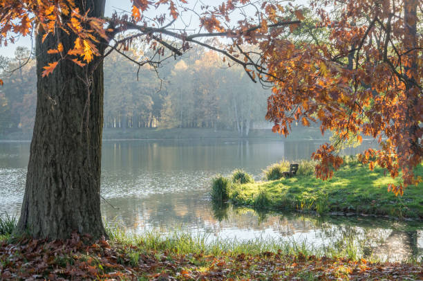 istock Autumn in the park 862801974