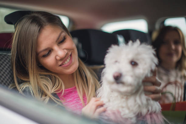 istock Family on the back seat 862806052
