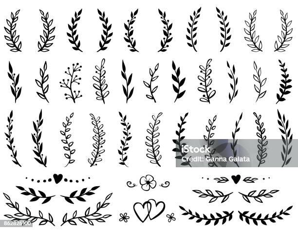 Set Of Tree Branches Stock Illustration - Download Image Now - Leaf, Vine - Plant, Decoration