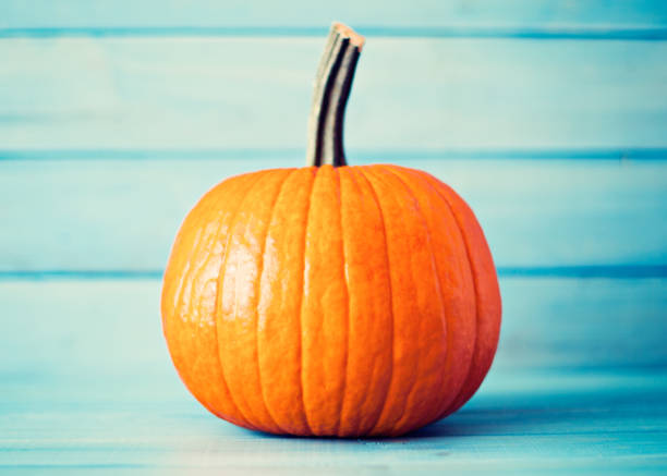 Autumn pumpkin over wood stock photo