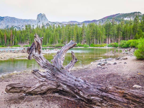 istock Visiting Mammoth Lakes in California 862959618