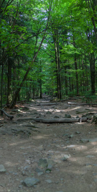 istock The way to Lysica Mountain. 862978280