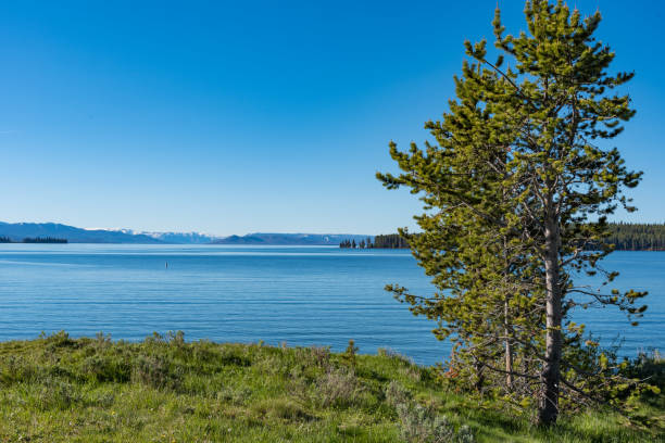 istock Yellowstone Lake, Wyoming 863032196
