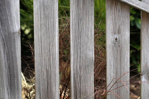 istock The cut wood with knots 863069562