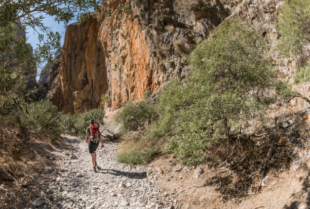 istock The way through Aradena Gorge, Crete. 863075824