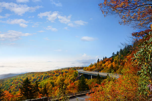 piękna jesienna górska sceneria w północnej karolinie. - blue ridge mountains blue ridge parkway north carolina autumn zdjęcia i obrazy z banku zdjęć
