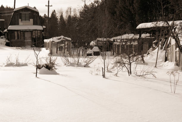 istock Garden village in a winter 863096256