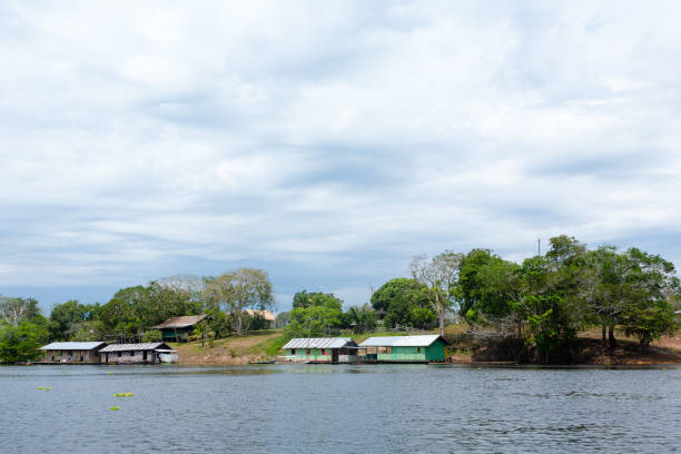 istock Houses along Amazonas river. Brazilian panorama 863096824
