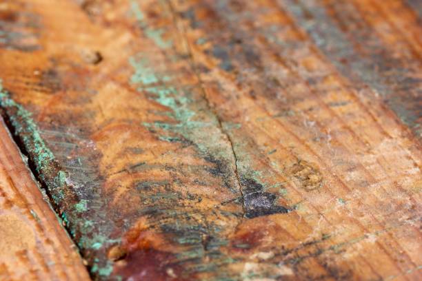 istock Old weathered turquoise grungy wood macro background 863101880