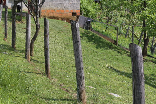 mesh-zaun - green fence chainlink fence wall stock-fotos und bilder